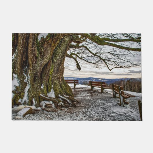 Winterbaum und Bänke Türmatte (Vorderseite)