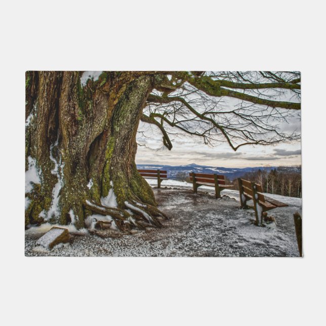 Winterbaum und Bänke Türmatte (Vorderseite)