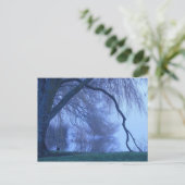 Winterbaum und See Postkarte (Stehend Vorderseite)