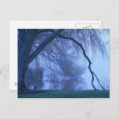 Winterbaum und See Postkarte (Vorne/Hinten)