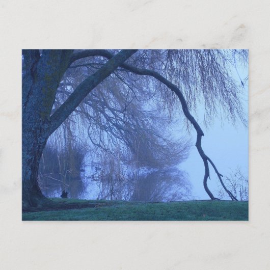 Winterbaum und See Postkarte (Vorderseite)