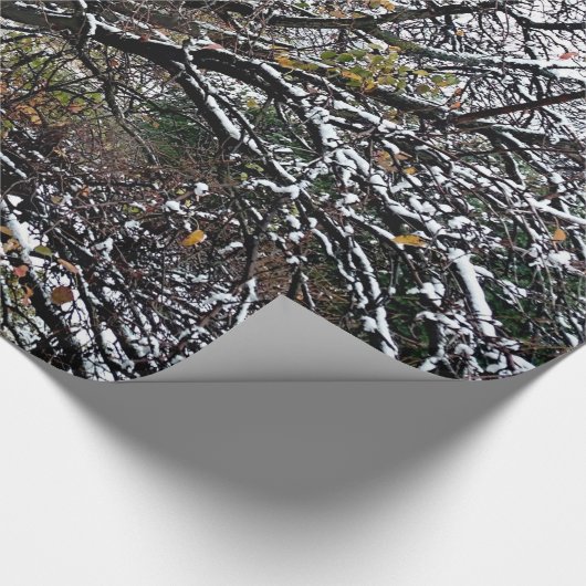 Winterbaum-Wrapping-Papier Geschenkpapier (Ecke)