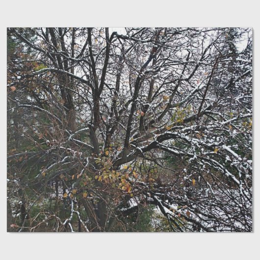 Winterbaum-Wrapping-Papier Geschenkpapier (Flach)