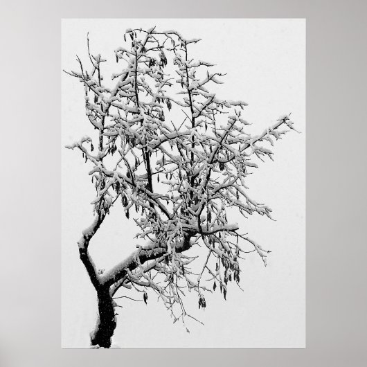 Winterbaumausdruck Poster (Vorne)