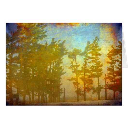 Winterbäume (Vorderseite (Horizontal))