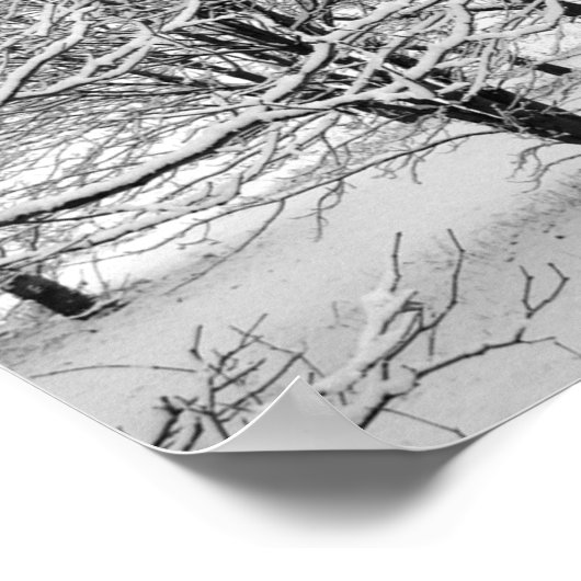 Winterbäume 16x11 poster (Ecke)