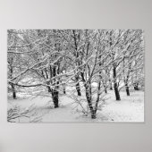 Winterbäume 16x11 poster (Vorne)