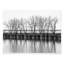 Winterbäume am Wasser, B&W Foto Print