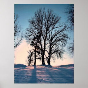 Winterbäume auf Hintergrund des blauen Himmels der Poster