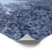 Winterbäume bei Morgengrauen Montana Landschaft Poster (Ecke)