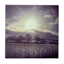 Winterbäume Felder und Hügel aus dem Fenster des Z