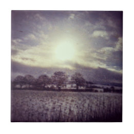 Winterbäume Felder und Hügel aus dem Fenster des Z Fliese