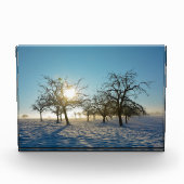 Winterbäume - - fotoblock (Vorderseite)