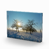 Winterbäume - - fotoblock (Rechts)
