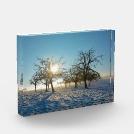 Winterbäume - - fotoblock
