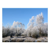 WINTERBÄUME FOTODRUCK (Vorne)