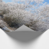 WINTERBÄUME GESCHENKPAPIER (Ecke)