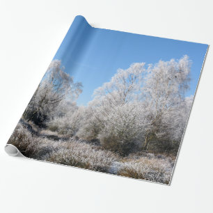 WINTERBÄUME GESCHENKPAPIER