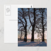 Winterbäume im blauen Himmelshintergrund Postkarte (Vorne/Hinten)