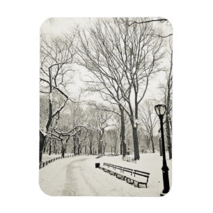 Winterbäume im Schnee bedeckt Magnet