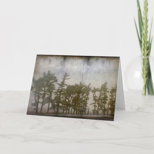 Winterbäume Karte (Vorderseite)