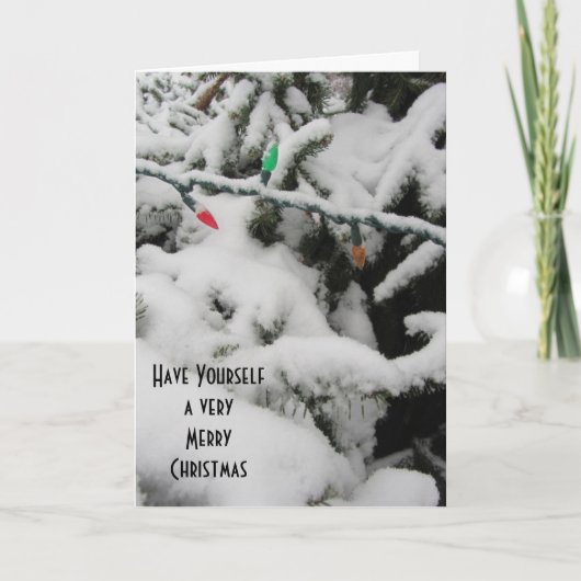 Winterbäume mit Schnee und Licht Feiertagskarte (Vorderseite)