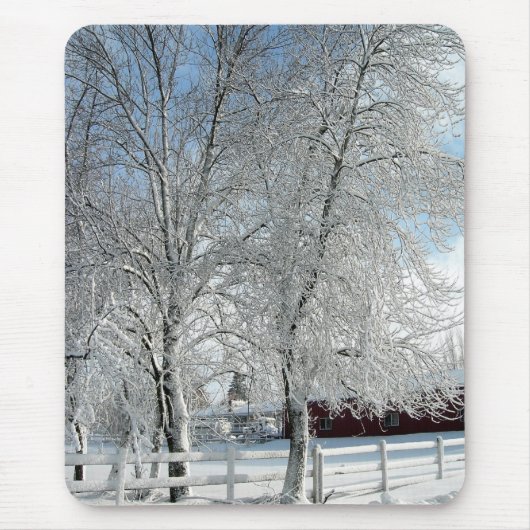 Winterbäume Mousepad (Vorne)