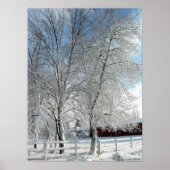 Winterbäume Poster (Vorne)