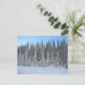Winterbäume Postkarte (Stehend Vorderseite)