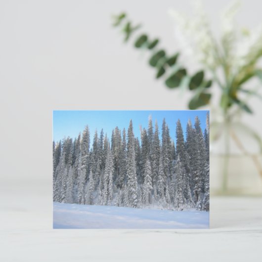 Winterbäume Postkarte (Stehend Vorderseite)