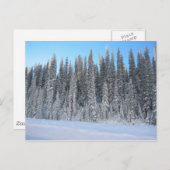 Winterbäume Postkarte (Vorne/Hinten)