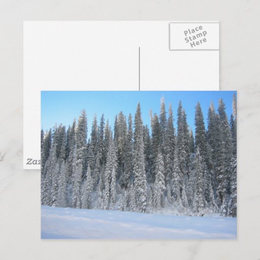 Winterbäume Postkarte (Vorne/Hinten)
