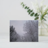 Winterbäume Postkarte (Stehend Vorderseite)