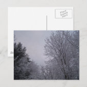 Winterbäume Postkarte (Vorne/Hinten)