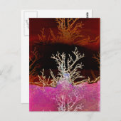 WINTERBÄUME POSTKARTE (Vorne/Hinten)