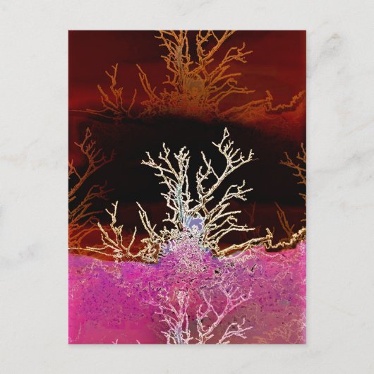 WINTERBÄUME POSTKARTE (Vorderseite)