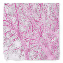 Winterbäume (rosa)