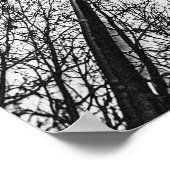 Winterbäume Silhouette Nr. 1 Poster (Ecke)