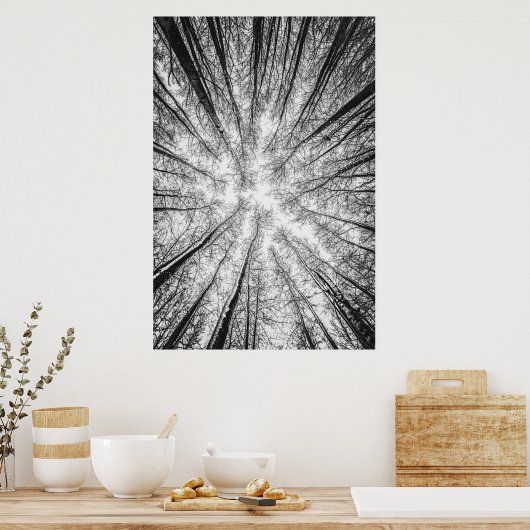 Winterbäume Silhouette Nr. 1 Poster (Küche)