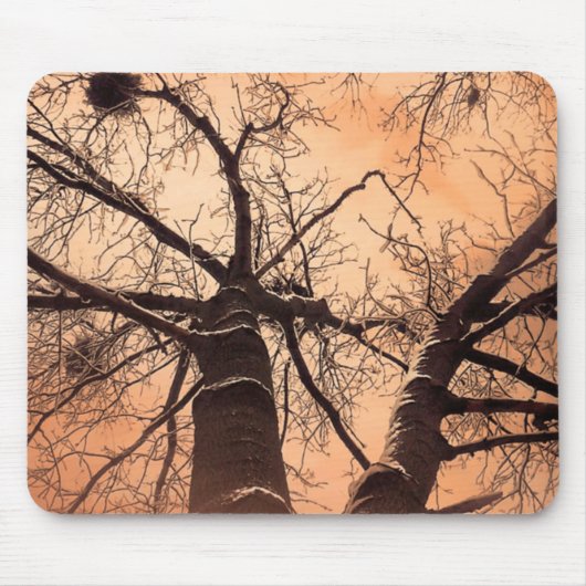 Winterbäume unten mousepad (Vorne)