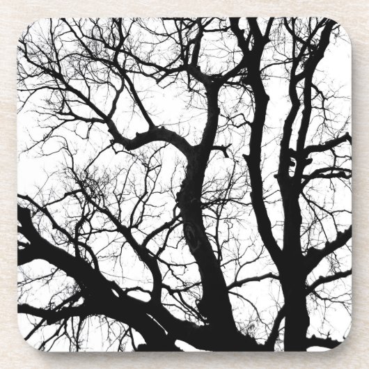 Winterbäume Untersetzer Schwarzweißfotografie (Vorderseite)