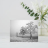 Winterbaumfeld Postkarte (Stehend Vorderseite)