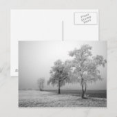 Winterbaumfeld Postkarte (Vorne/Hinten)