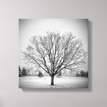 Winterbaumgestreichte Canvas drucken