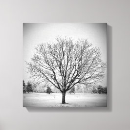 Winterbaumgestreichte Canvas drucken Leinwanddruck