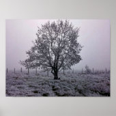 Winterbaumlandschaft Poster (Vorne)