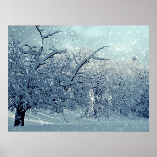 Winterbaumlandschaft Poster (Vorne)