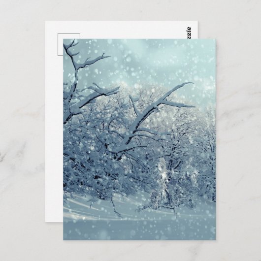 Winterbaumlandschaft Postkarte (Vorne/Hinten)