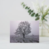 Winterbaumlandschaft Postkarte (Stehend Vorderseite)