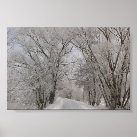 Winterbaumstraße Poster (Vorne)